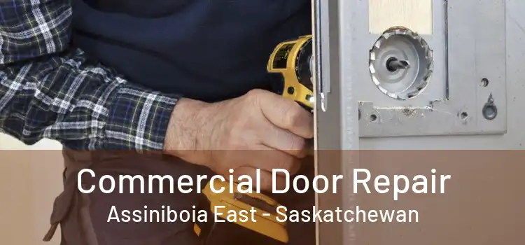 Commercial Door Repair Assiniboia East - Saskatchewan