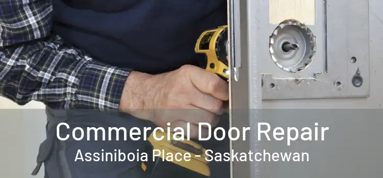 Commercial Door Repair Assiniboia Place - Saskatchewan