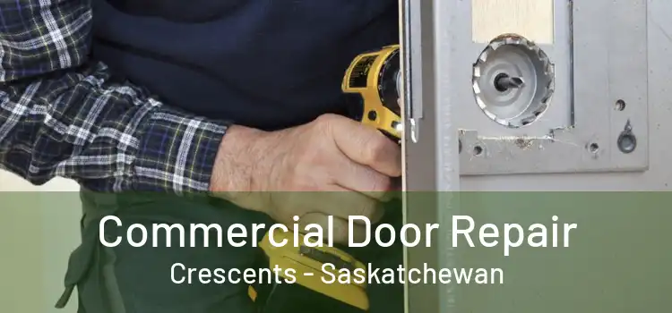 Commercial Door Repair Crescents - Saskatchewan