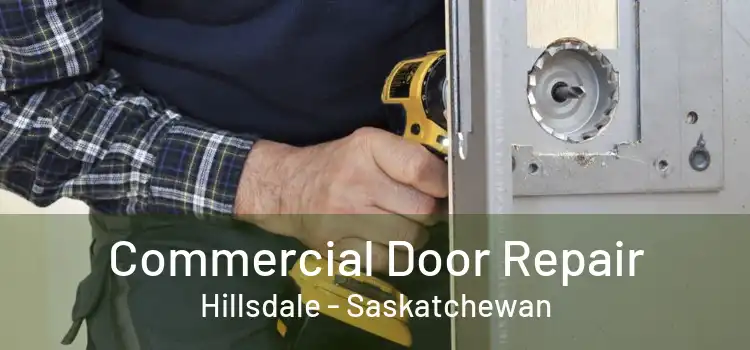Commercial Door Repair Hillsdale - Saskatchewan