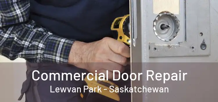 Commercial Door Repair Lewvan Park - Saskatchewan