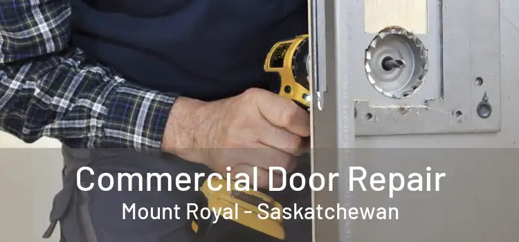 Commercial Door Repair Mount Royal - Saskatchewan