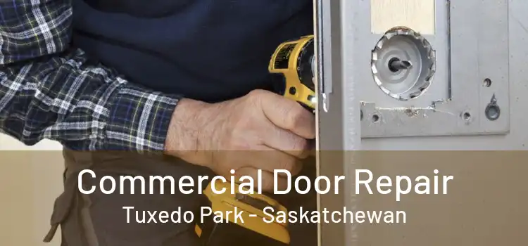 Commercial Door Repair Tuxedo Park - Saskatchewan