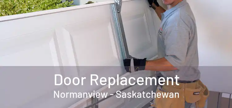 Door Replacement Normanview - Saskatchewan