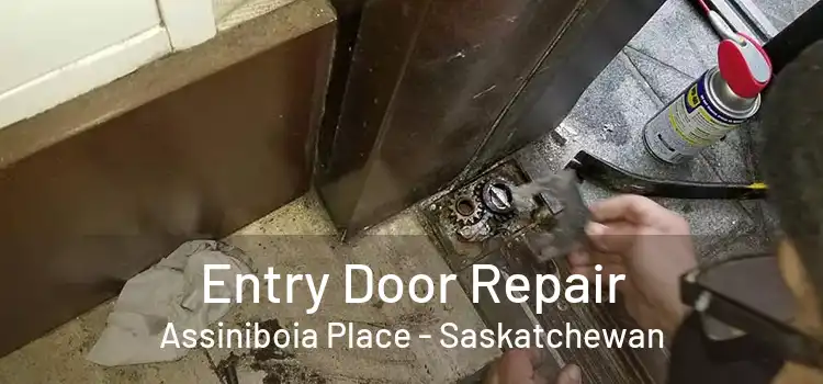 Entry Door Repair Assiniboia Place - Saskatchewan