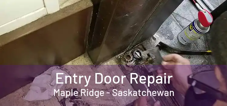 Entry Door Repair Maple Ridge - Saskatchewan