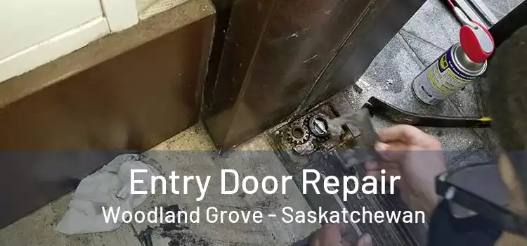 Entry Door Repair Woodland Grove - Saskatchewan