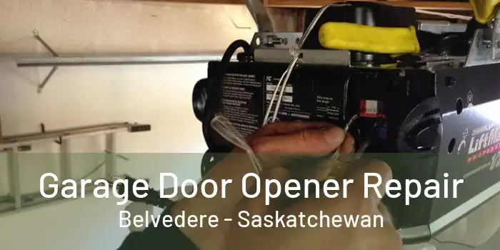 Garage Door Opener Repair Belvedere - Saskatchewan