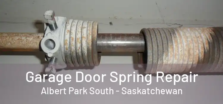 Garage Door Spring Repair Albert Park South - Saskatchewan
