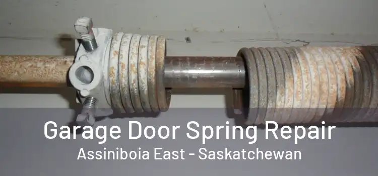 Garage Door Spring Repair Assiniboia East - Saskatchewan