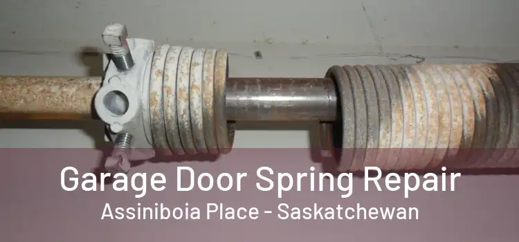 Garage Door Spring Repair Assiniboia Place - Saskatchewan