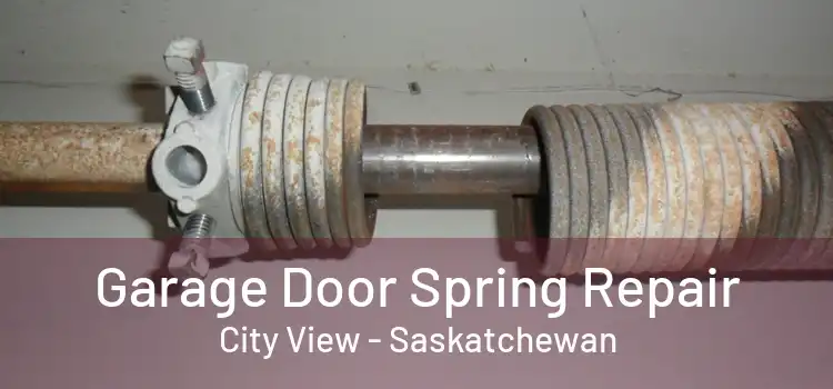 Garage Door Spring Repair City View - Saskatchewan