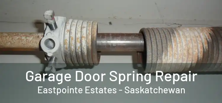 Garage Door Spring Repair Eastpointe Estates - Saskatchewan