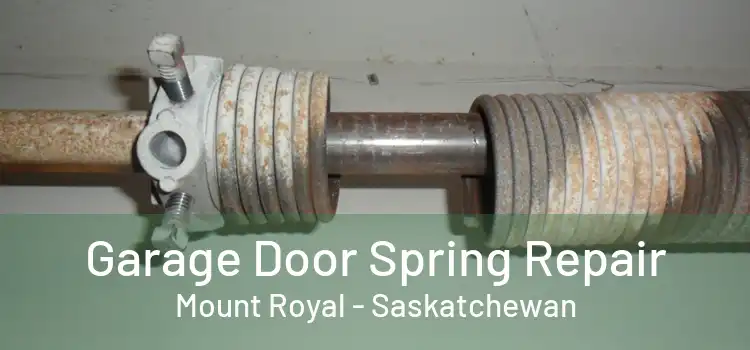 Garage Door Spring Repair Mount Royal - Saskatchewan