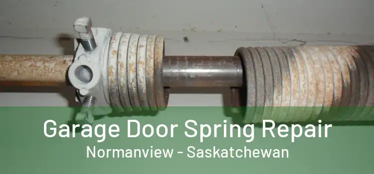 Garage Door Spring Repair Normanview - Saskatchewan