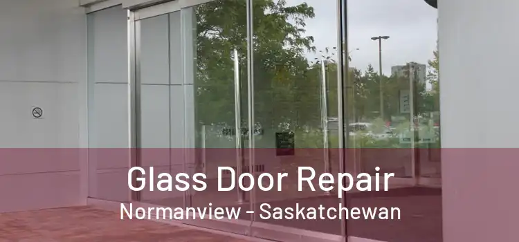 Glass Door Repair Normanview - Saskatchewan