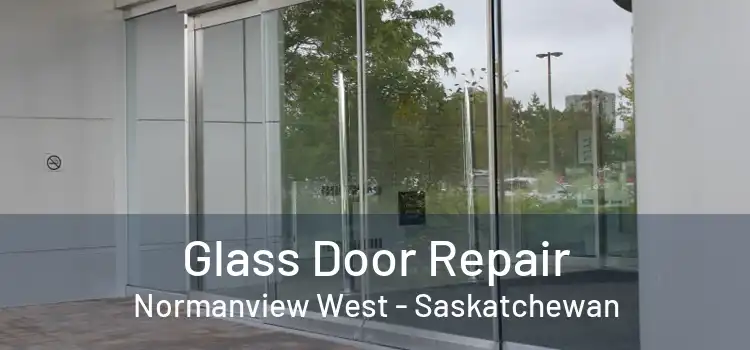 Glass Door Repair Normanview West - Saskatchewan