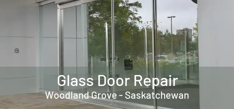 Glass Door Repair Woodland Grove - Saskatchewan