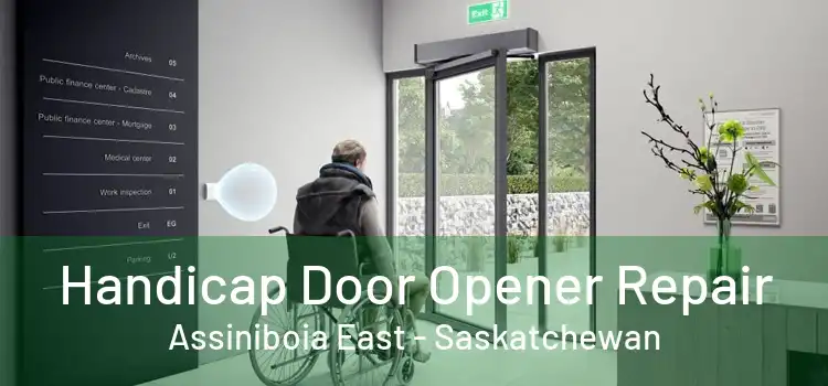 Handicap Door Opener Repair Assiniboia East - Saskatchewan