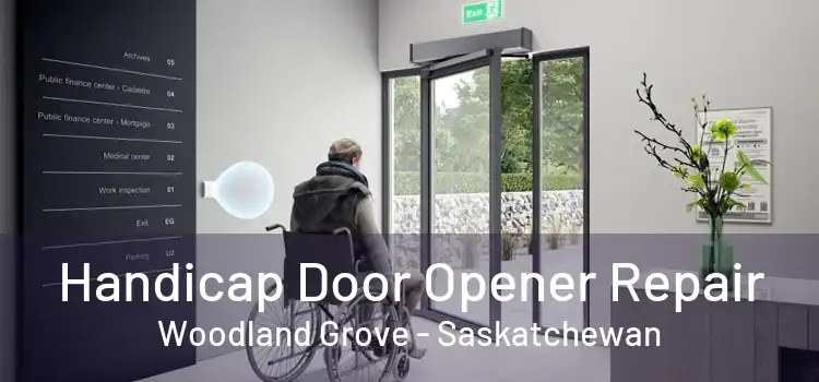 Handicap Door Opener Repair Woodland Grove - Saskatchewan