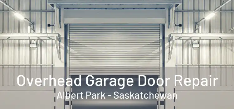 Overhead Garage Door Repair Albert Park - Saskatchewan