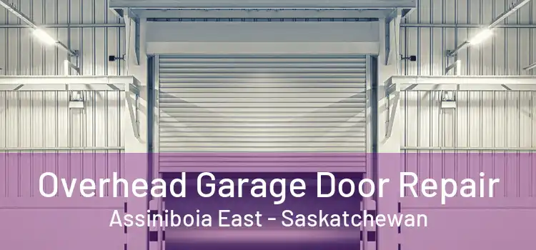 Overhead Garage Door Repair Assiniboia East - Saskatchewan