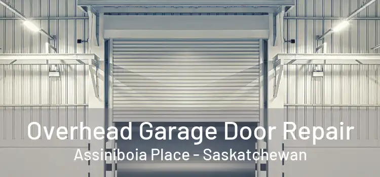 Overhead Garage Door Repair Assiniboia Place - Saskatchewan