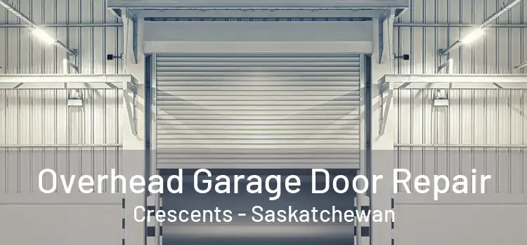 Overhead Garage Door Repair Crescents - Saskatchewan
