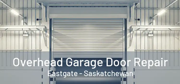 Overhead Garage Door Repair Eastgate - Saskatchewan