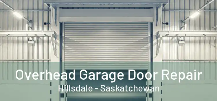 Overhead Garage Door Repair Hillsdale - Saskatchewan