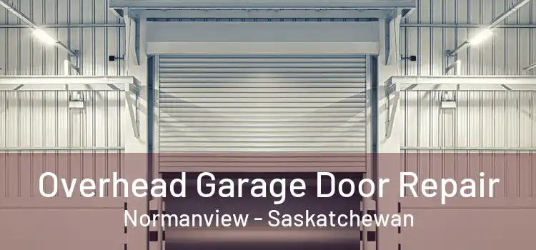 Overhead Garage Door Repair Normanview - Saskatchewan