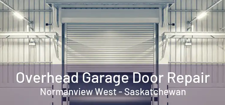 Overhead Garage Door Repair Normanview West - Saskatchewan