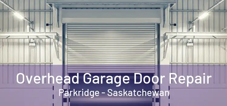 Overhead Garage Door Repair Parkridge - Saskatchewan