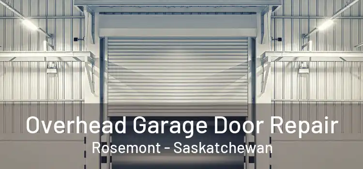 Overhead Garage Door Repair Rosemont - Saskatchewan
