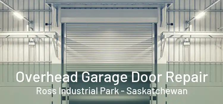 Overhead Garage Door Repair Ross Industrial Park - Saskatchewan