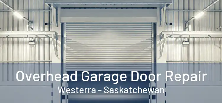 Overhead Garage Door Repair Westerra - Saskatchewan