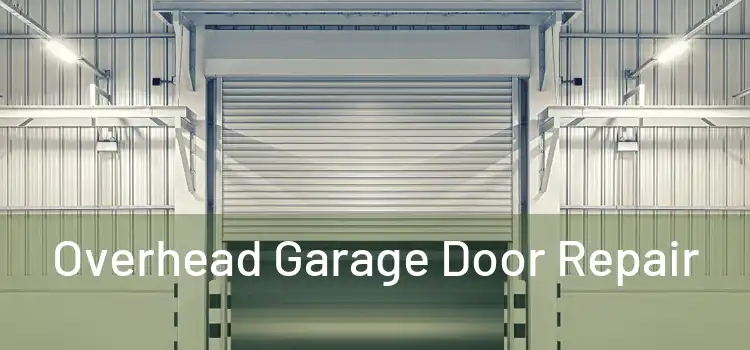 Overhead Garage Door Repair 