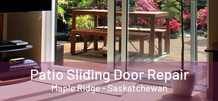 Patio Sliding Door Repair Maple Ridge - Saskatchewan