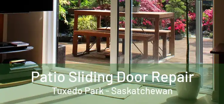 Patio Sliding Door Repair Tuxedo Park - Saskatchewan