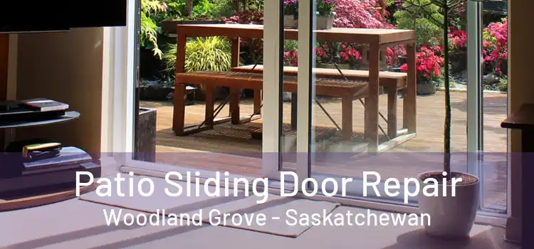 Patio Sliding Door Repair Woodland Grove - Saskatchewan