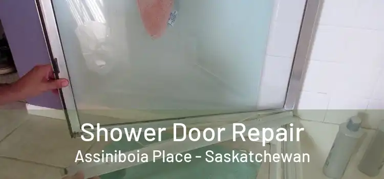 Shower Door Repair Assiniboia Place - Saskatchewan