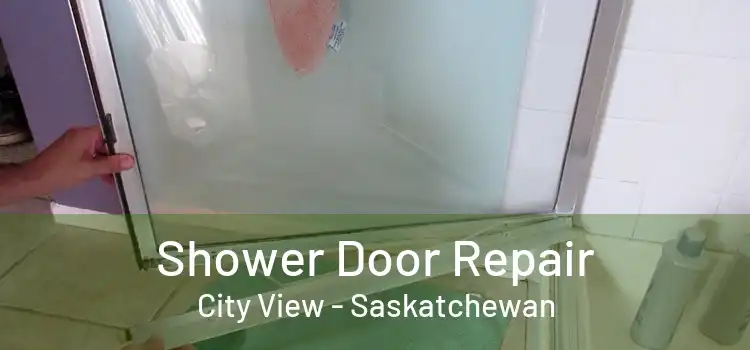 Shower Door Repair City View - Saskatchewan