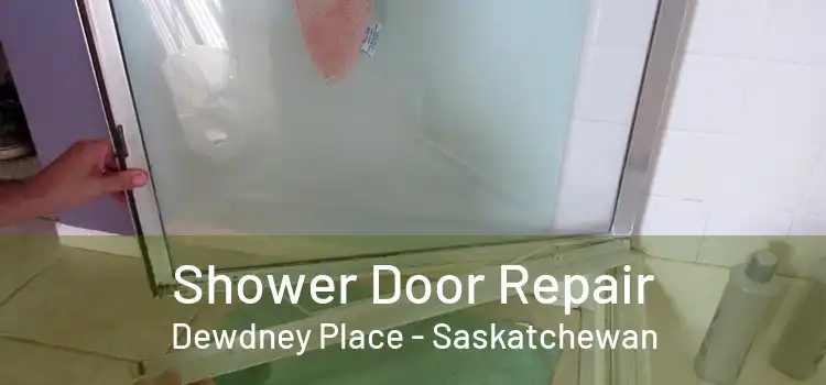 Shower Door Repair Dewdney Place - Saskatchewan