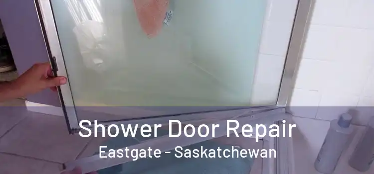 Shower Door Repair Eastgate - Saskatchewan