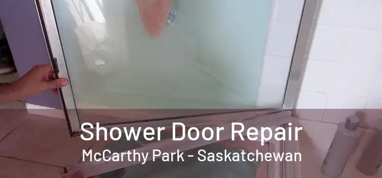 Shower Door Repair McCarthy Park - Saskatchewan