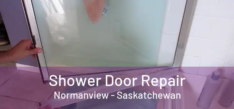 Shower Door Repair Normanview - Saskatchewan