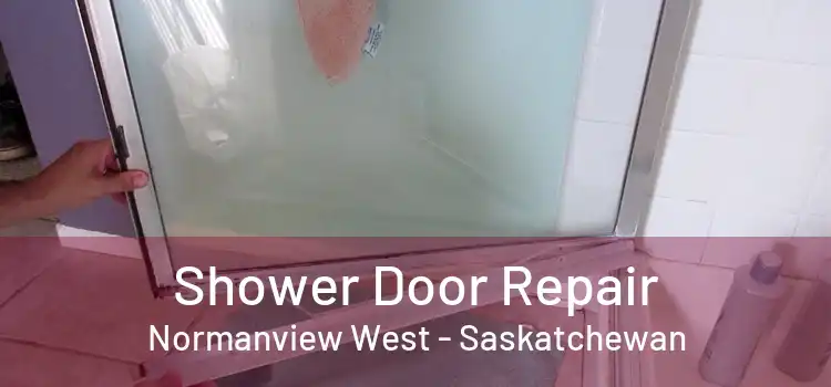 Shower Door Repair Normanview West - Saskatchewan