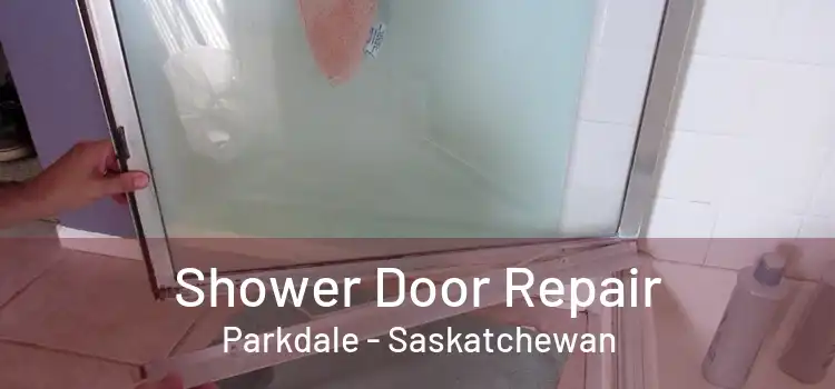 Shower Door Repair Parkdale - Saskatchewan
