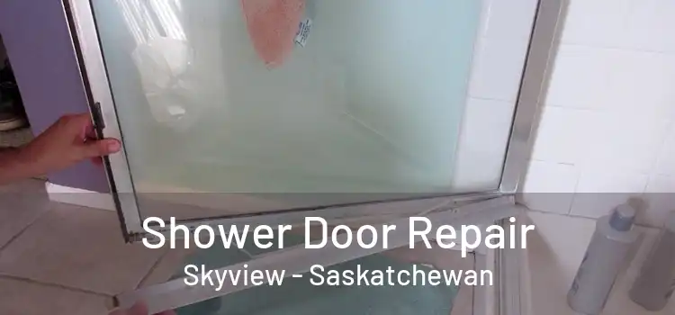 Shower Door Repair Skyview - Saskatchewan