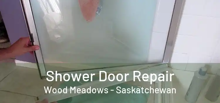 Shower Door Repair Wood Meadows - Saskatchewan